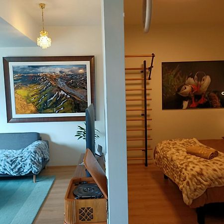 Puffin Nest, Superior Apartment Reykjavík Esterno foto